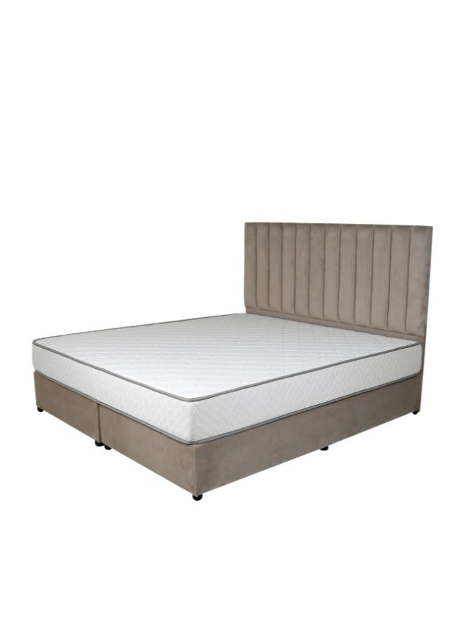 Bed and Mattress Zone Opulence Upholstered Bed 200 X 100 Single Size Muted Pink Color  - Image 2