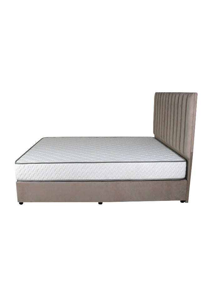 Bed and Mattress Zone Opulence Upholstered Bed 200 X 100 Single Size Muted Pink Color  - Image 3