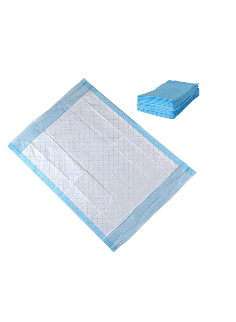 10 عبوات فردية من فوط صحية للاستخدام مرة واحدة، فوط سلس البول، أغطية سرير، حماية فائقة الامتصاص للأطفال والبالغين وكبار السن 40×50 سم - Image 1
