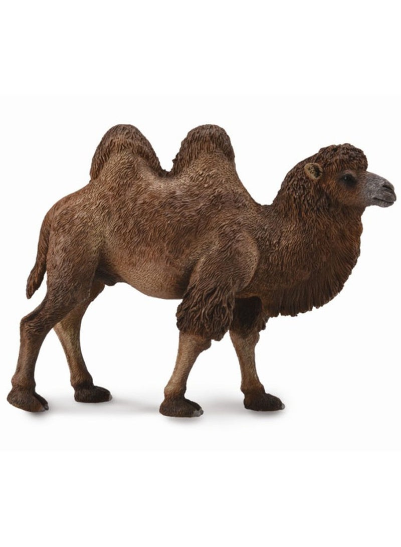 Collecta - Bactrian Camel - 88807