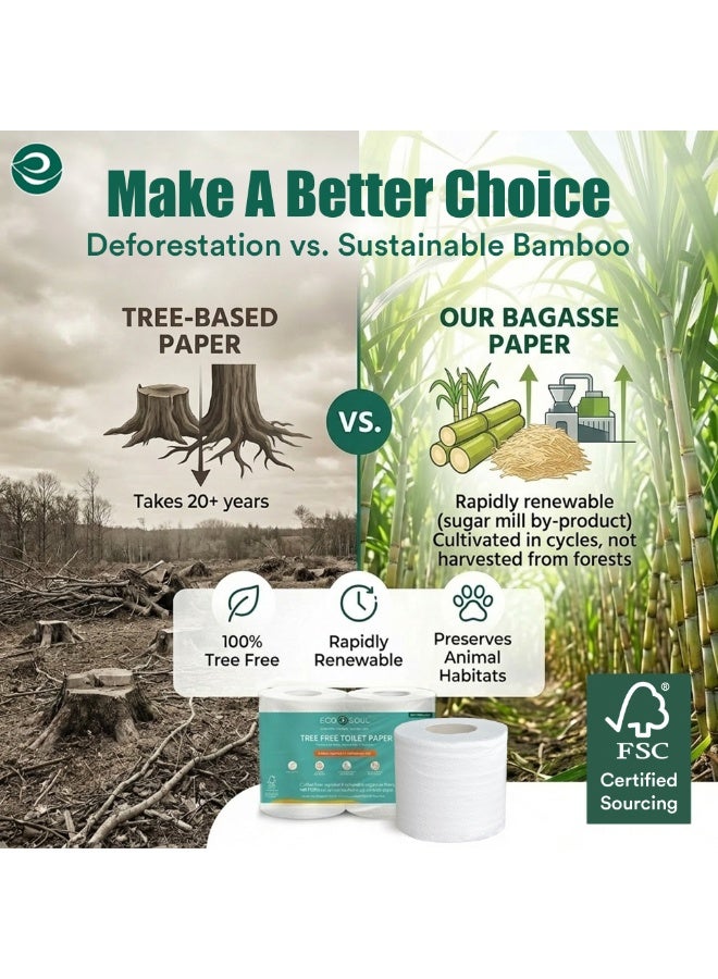 ECO SOUL Compostable Toilet Paper, 2 Ply, 200 sheets, Pack of 4 - Image 3