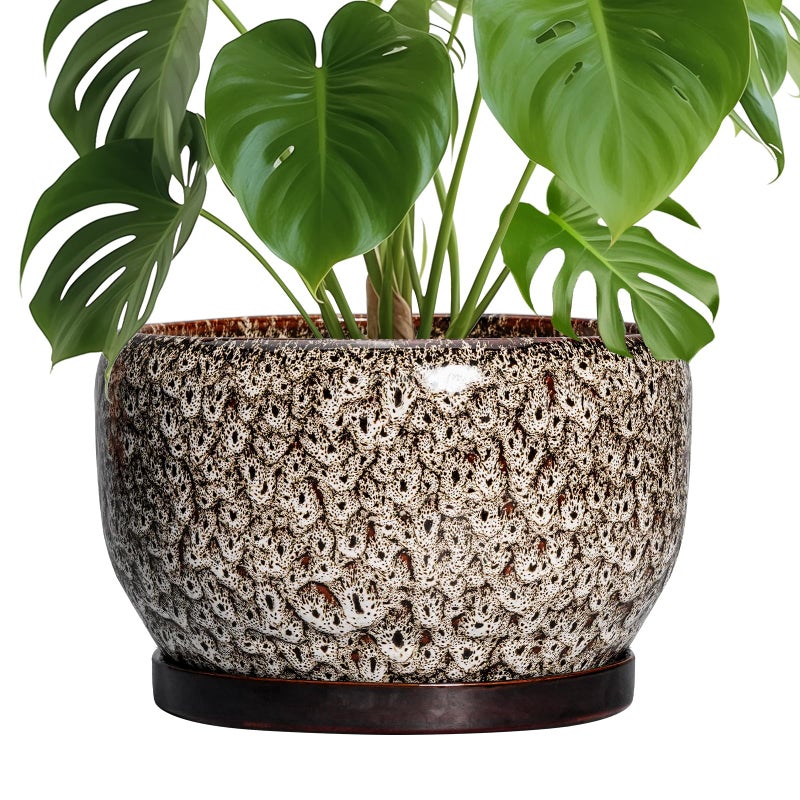 SQOWL Ceramic Plant Pots - 10 Inch Planter for Indoor Plants Outdoor, Large Flower Pots with Drainage Hole and Saucer, Decorative Round Planter, Apartment Decor, Garden Gifts for Women, White - Image 1
