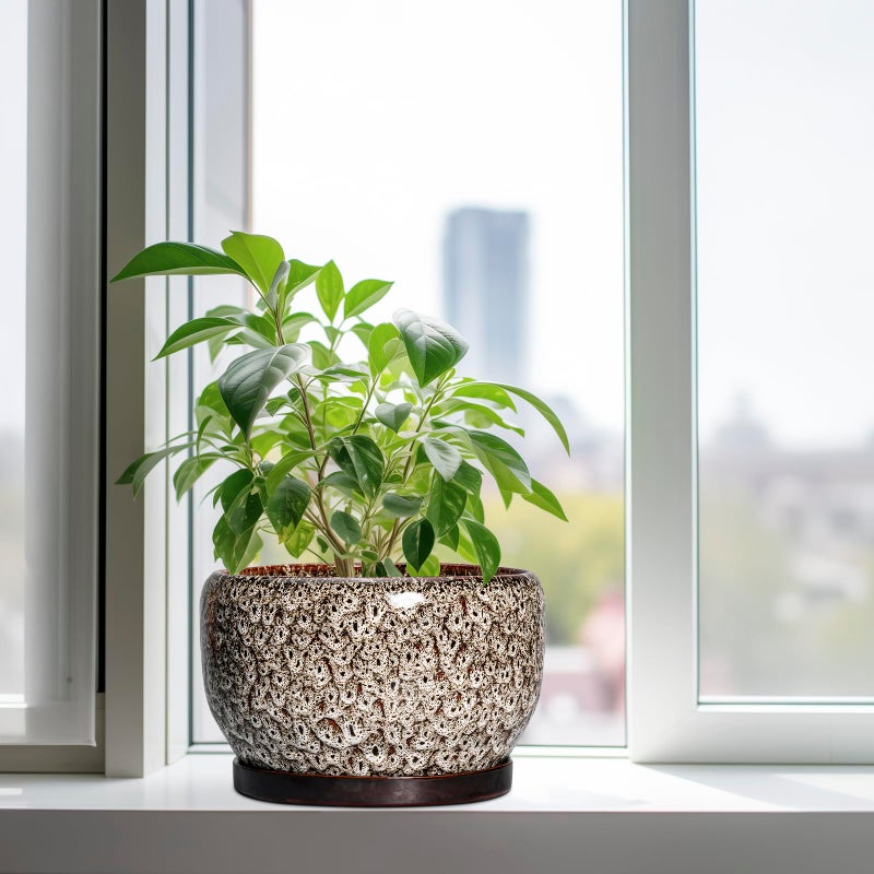 SQOWL Ceramic Plant Pots - 10 Inch Planter for Indoor Plants Outdoor, Large Flower Pots with Drainage Hole and Saucer, Decorative Round Planter, Apartment Decor, Garden Gifts for Women, White - Image 4