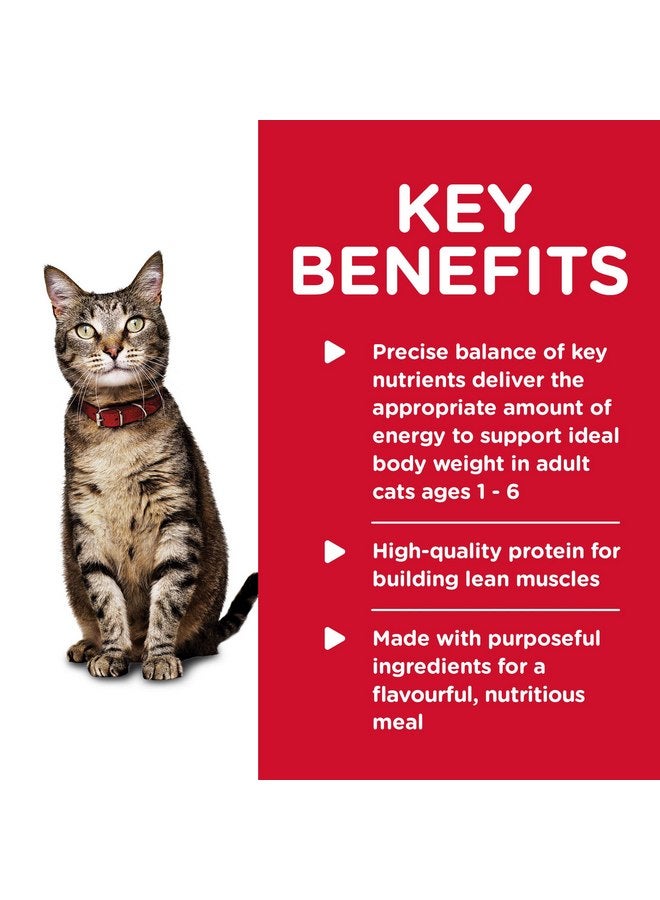 هيل طعام القطط الرطب من Hill's Science Diet Healthy Cuisine، للبالغين من سن 1 إلى 6 سنوات، مذاق رائع، حساء التونة والجزر المشوي، علبة 2.8 أونصة، علبة تحتوي على 24 قطعة - Image 2