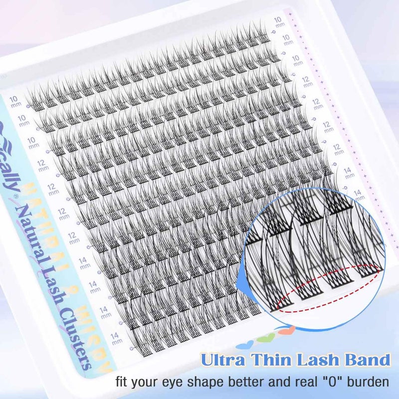 Newcally Natural Lash Extension Kit Cluster Lashes Kit Cluster Eyelash Extension Kit 220Pcs C-curly DIY Eyelash Extension Kit Short 10-14MM Individual Lashes Kit with Lash Remover by Newcally - Image 3