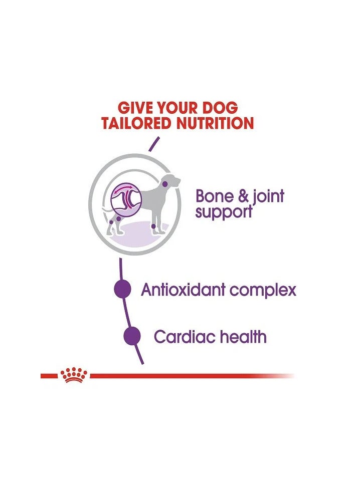 رويال كانين طعام رويال كانين جاينت الجاف للكلاب البالغة، 15 كجم - Image 4