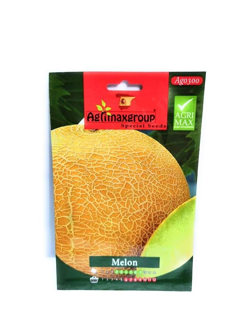 Generic Musk melon Shamam melon |Premium Quality Seeds by Agrimaxgroup Seed Hybrid, seeds Organic Non GMO Vegetable Seeds for Home and Garden Potted Plants,Easy to Plant,| Made in SPAIN| 5g 
