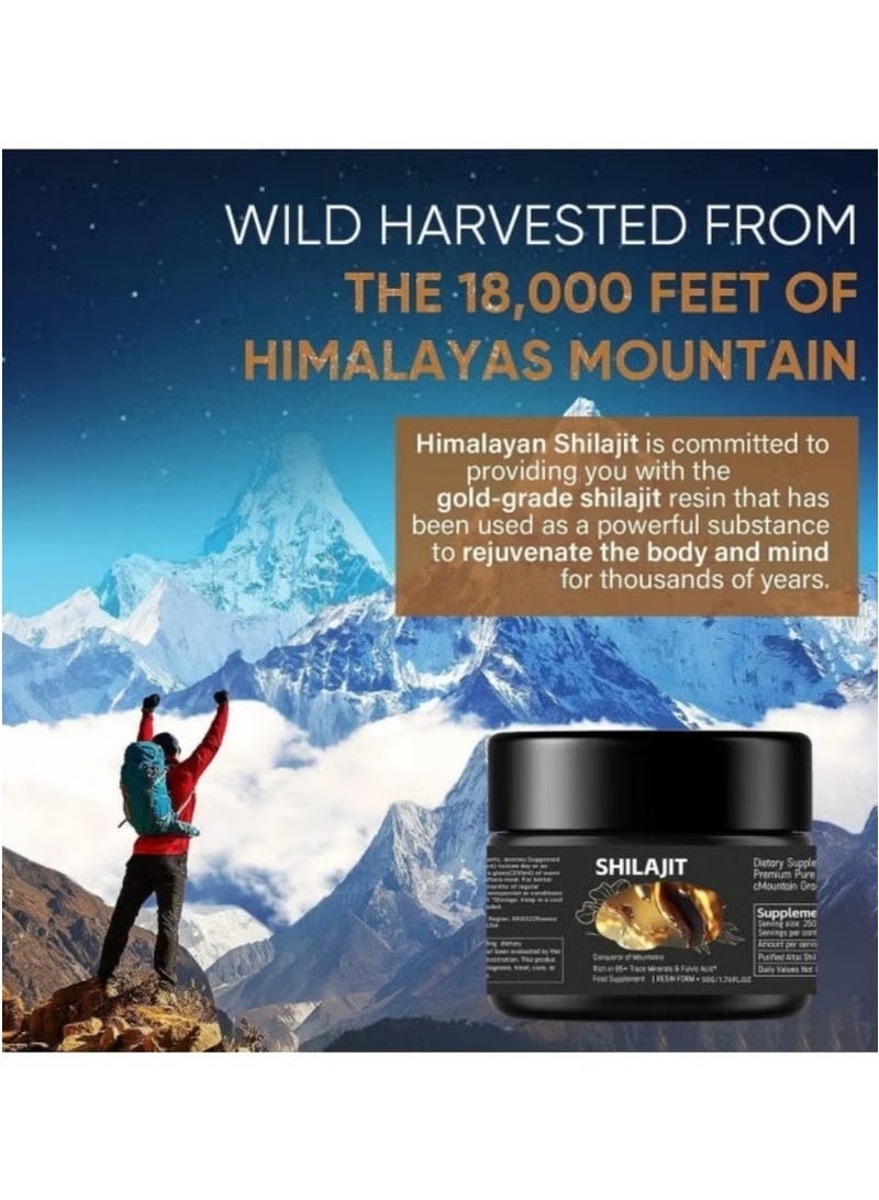 Shilajit RX Pure Himalayan Shilajit Resin – High Potency Gold Grade | 75 Servings | Energy, Immunity  Vitality Support | 85+ Trace Minerals  75%+ Fulvic Acid 30g - Image 1
