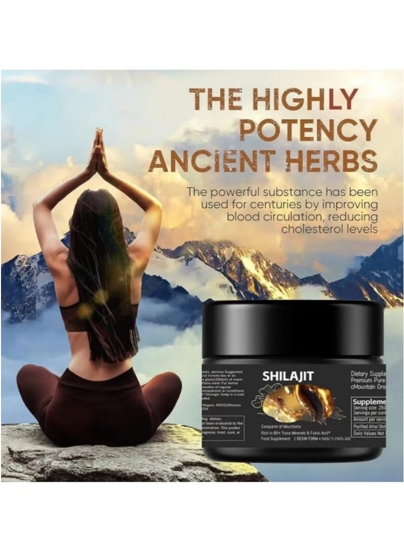 Shilajit RX Pure Himalayan Shilajit Resin – High Potency Gold Grade | 75 Servings | Energy, Immunity  Vitality Support | 85+ Trace Minerals  75%+ Fulvic Acid 30g - Image 2
