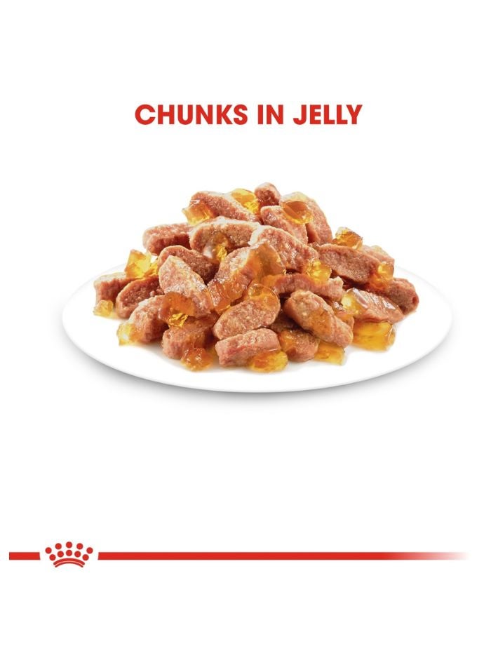 ROYAL CANIN Feline Health Nutrition Kitten Jelly (WET FOOD - Pouches) 12x85G - Image 2