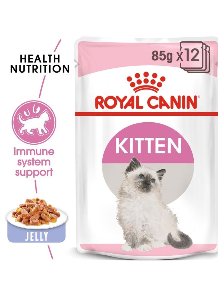 ROYAL CANIN Feline Health Nutrition Kitten Jelly (WET FOOD - Pouches) 12x85G - Image 1