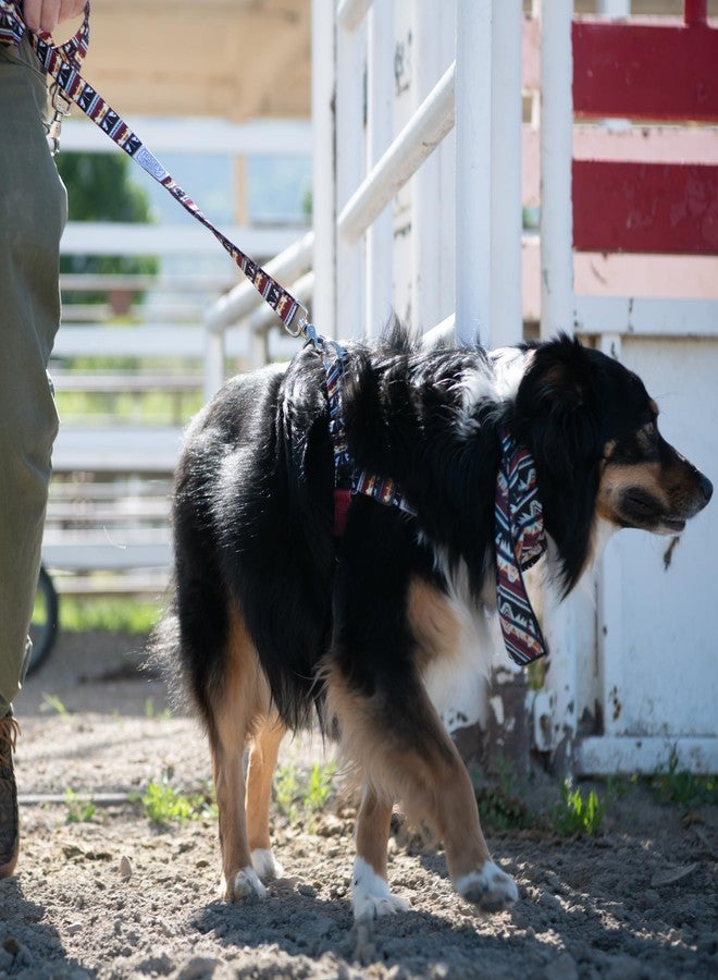 Hooey Nomad Walking Dog Harness, No-Pull Adjustable Harness for Dogs, Totem, Small - Image 5
