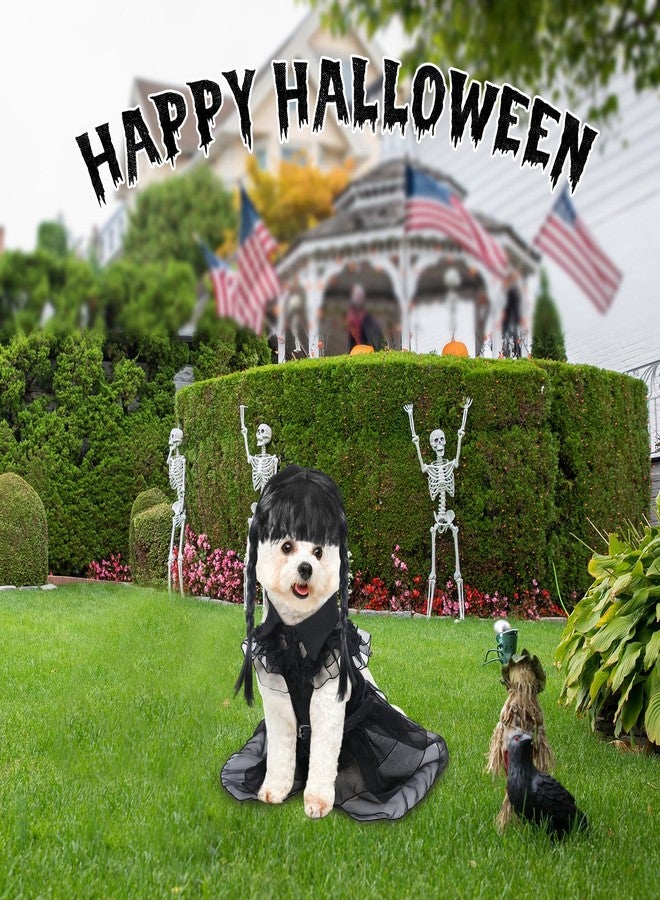 Coume 3 Pcs Halloween Dog Costumes for Dog with Belt and Wig Black Cute Pet Costume Dress for Puppy Dogs Cats Cosplay Halloween Birthday Party Outfit(M) - Image 4
