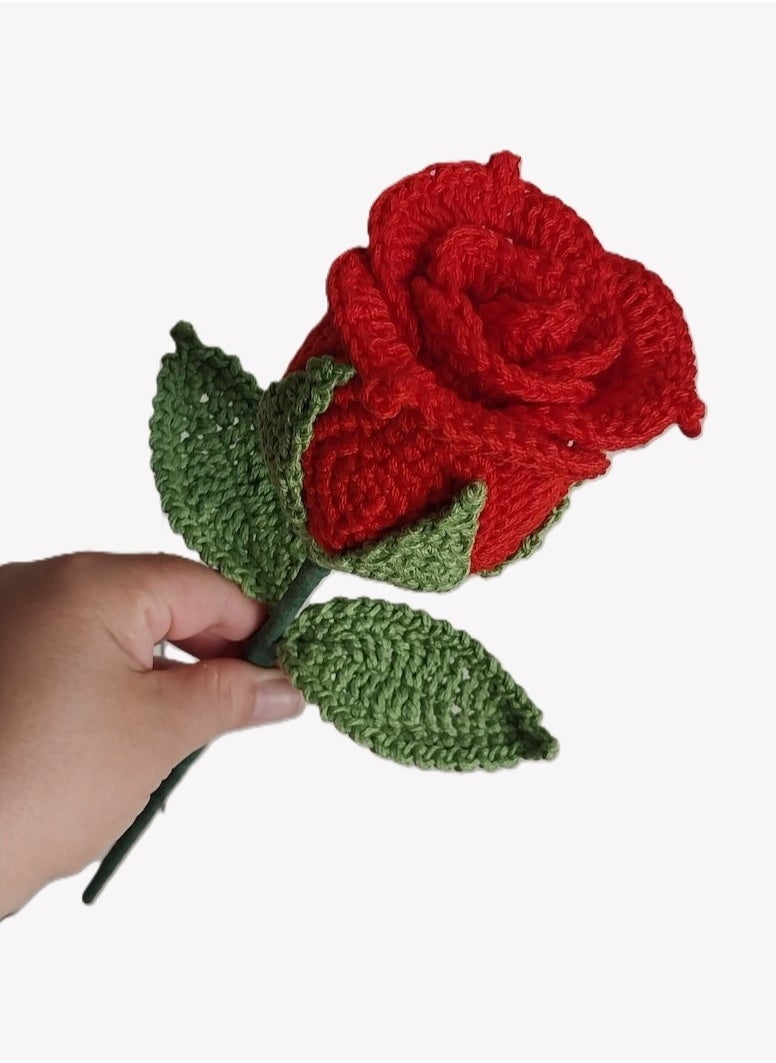 Handcrafted Crochet Rose Bouquet, 6 Red Roses with Green Leaves, Gift Wrapped JewelOnPalette - pzsku/ZF7FCD7E4B108DDAA3462Z/45/_/1738235279/3d9471b1-b44b-4485-bf4c-5450346b4ecf