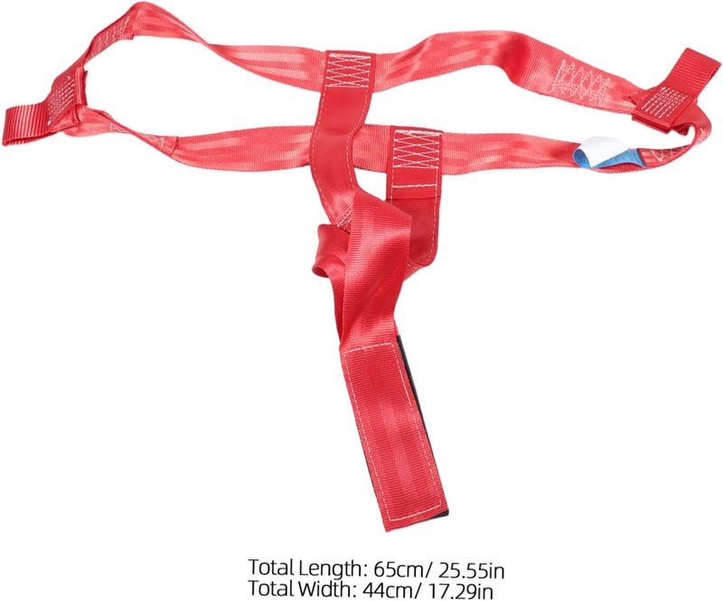 Batch uniform stable quality ORFOFE Universal Motorcycle Rear Wheel Tie Down Strap Ratchet – Adjustable Red Tire Tie-Down for Transporting Dirt Bikes, Scooters, and Mopeds on Car Trailers Ergonomic build Instant order available stock Repeated detach compatible build Durability boost selected material Flexible trendy construction Wide daily application Tiered cost purchase alternatives Trendy budget practical design Cost effective fine quality Repeated use resistant selected material Tiered purchase options Hardness boosted processed substance Daily repeated use trusted quality Odor free color Gulf mainstream practical design All budget friendly options Long term heavy use compatible Lightweight Space saving design picks Quick use-switch compatible build Any KSA address orderable Smooth joint Globally selected raw material Dispersed regional warehouses - Image 2