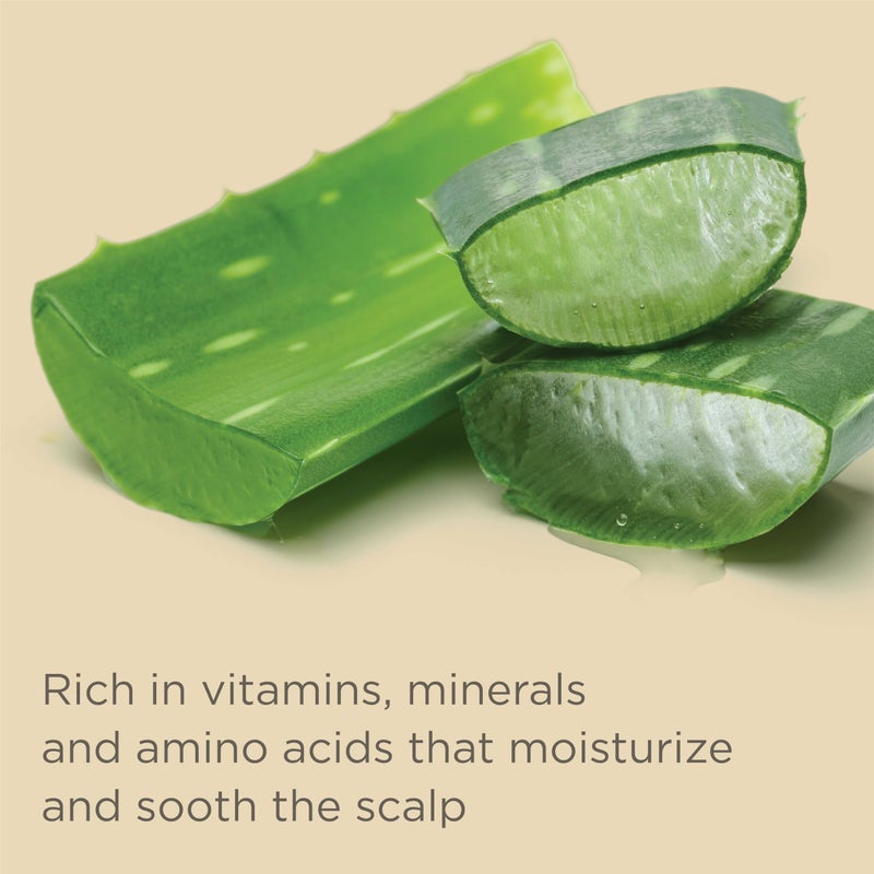 Hairitage Color Check Moisturizing Shampoo and Conditioner Set, UV Protection for Color Treated Hair, Prevent Color Washout, Fading, 13oz each (26oz total) - Image 5