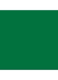 Nest "NEST Green Spray Paint - 400ml, Multipurpose, Fast Drying, High Gloss Finish  - Image 3