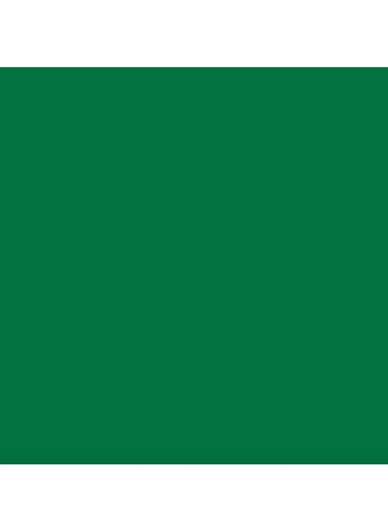 Nest - "NEST Green Spray Paint - 400ml, Multipurpose, Fast Drying, High Gloss Finish - Image 1