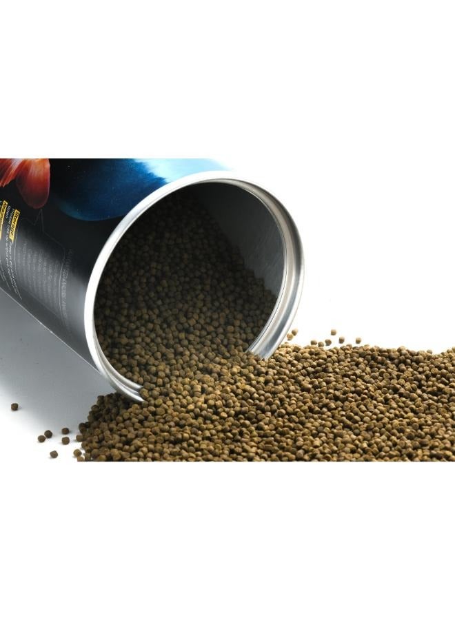 طعام خنزير البحر الذهبي 180 جرام يحتوي على نسبة عالية من البروتين - Image 2