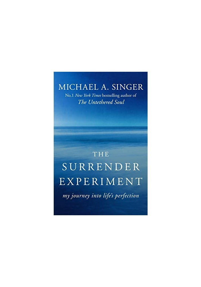 The Surrender Experiment - Image 3