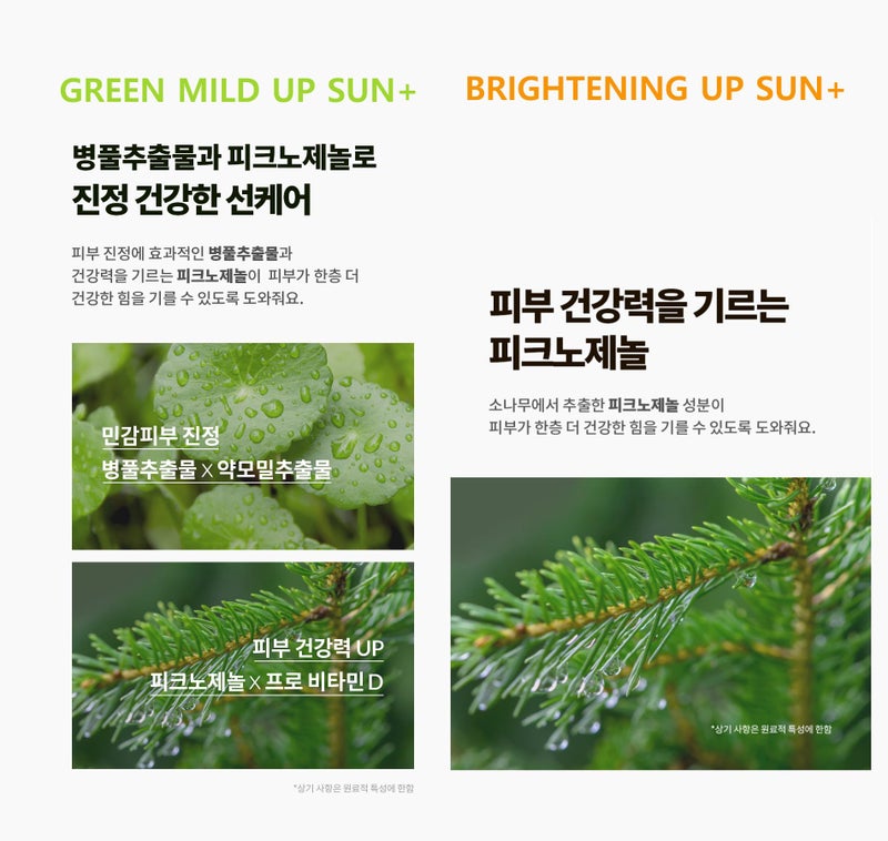 Dr. G [1+1] Dr.G NEW Brightening Up n Green Mild Sun Cream SPF50+ PA+++ (50ml + 50ml) Gowoonsesang - Image 4