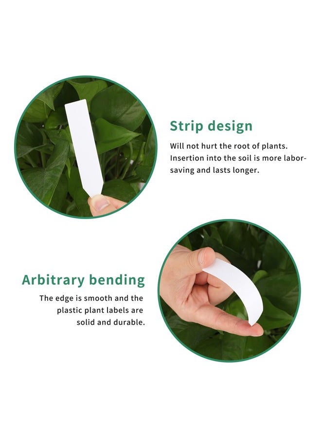 KINGLAKE Plant Labels,Plastic Plant Labels 4 Inch,Plant Tags,100 Pcs Nursery Garden Labels Plant Markers for Outdoor Garden Waterproof,Plant Name Tags Garden Stake Tags White - Image 3