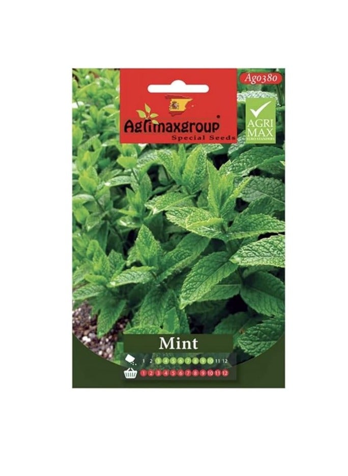 Agrimax Mint Premium Quality Seeds by Agrimaxgroup Offer you a Fantastic Opportunity to Grow Fresh Aromatic Mint in your Own Garden or Containers  Known for its Refreshing Fragrance and Versatile Culinary Uses Mint is an Essential Herb for any Home Gardener. - Image 2