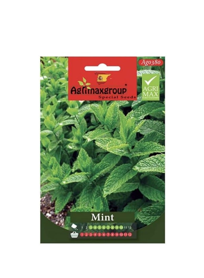 Agrimax Mint Premium Quality Seeds by Agrimaxgroup Offer you a Fantastic Opportunity to Grow Fresh Aromatic Mint in your Own Garden or Containers  Known for its Refreshing Fragrance and Versatile Culinary Uses Mint is an Essential Herb for any Home Gardener. - Image 1