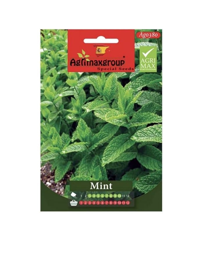 Agrimax Mint Premium Quality Seeds by Agrimaxgroup Offer you a Fantastic Opportunity to Grow Fresh Aromatic Mint in your Own Garden or Containers  Known for its Refreshing Fragrance and Versatile Culinary Uses Mint is an Essential Herb for any Home Gardener. - Image 3