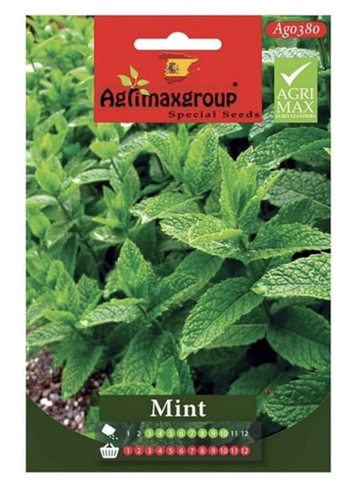 Agrimax Mint Premium Quality Seeds by Agrimaxgroup Offer you a Fantastic Opportunity to Grow Fresh Aromatic Mint in your Own Garden or Containers  Known for its Refreshing Fragrance and Versatile Culinary Uses Mint is an Essential Herb for any Home Gardener. - Image 1