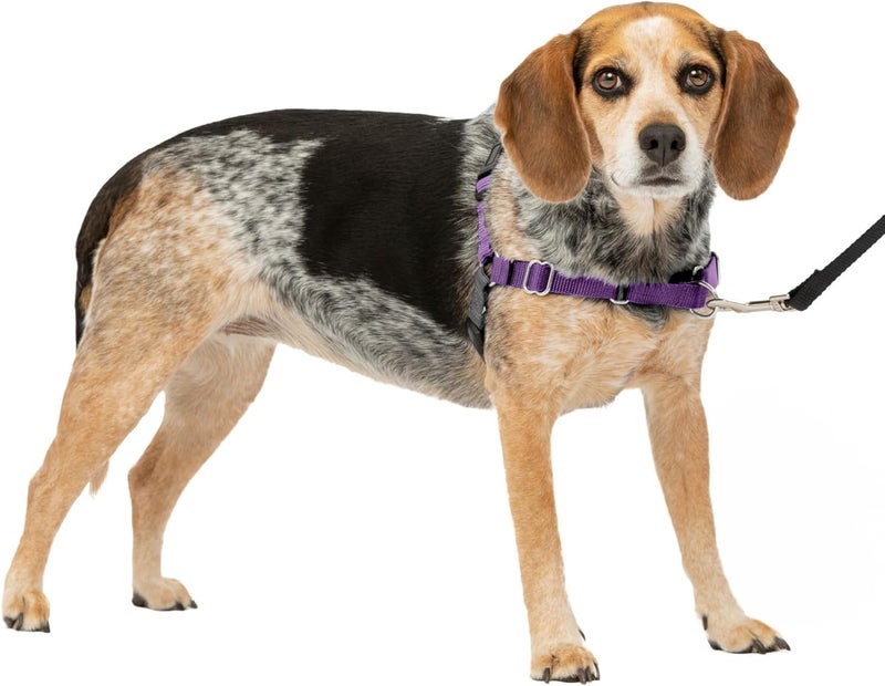 PetSafe Easy Walk No Pull Dog Harness - Deep Purple/Black, Small/Medium - Image 1
