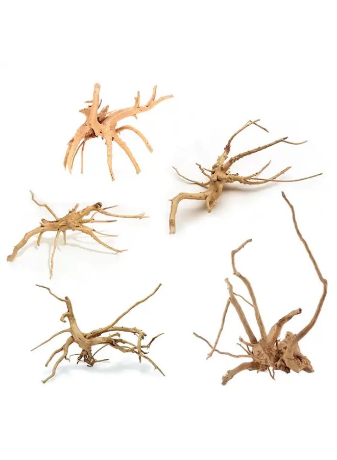 عنكبوت الخشب الطافي الطبيعي، فروع متنوعة، حوض سمك، زينة زواحف، زينة من الخشب الطافي - Image 2