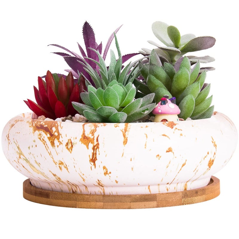 ARTKETTY Succulent Pots 73 Inch Large Succulent Planters with Drainage Ceramic Bonsai Pots with Tray Shallow Planters for Indoor Flower Plants Marble Cactus Planter Bowl