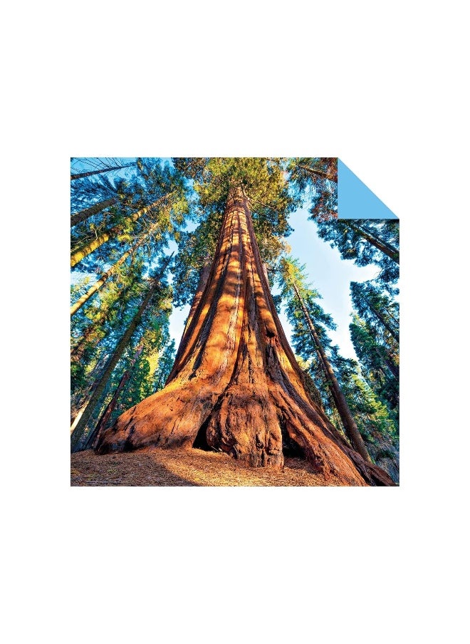 null - Origami Paper 200 sheets Mother Earth Photos 6" (15 cm): Tuttle Origami Paper: Double Sided Origami Sheets Printed with 12 Different Photographs (Instructions for 6 Projects Included) - Image 1