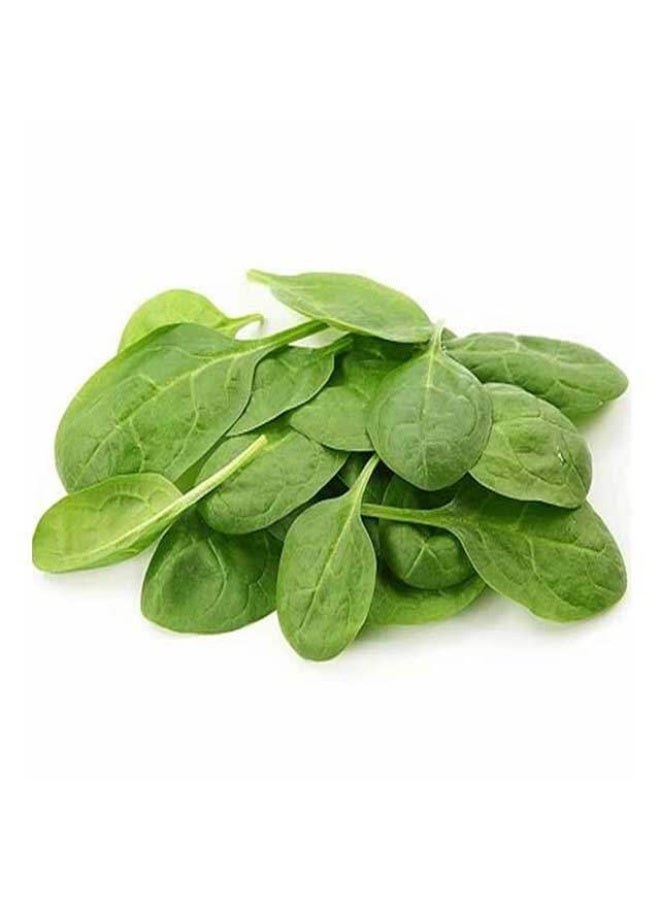 Kibsons Baby Spinach  125g - Image 1