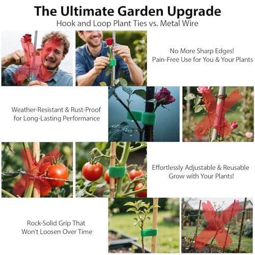MYLTW Reusable Plant Ties for Climbing Plants,Plan Straps,Nylon Plant Tape Strap Gardening Tips,Tomato Plant Support,Garden Wire Ties for Cables(50 Foot X 0.47 Inch) - Image 5