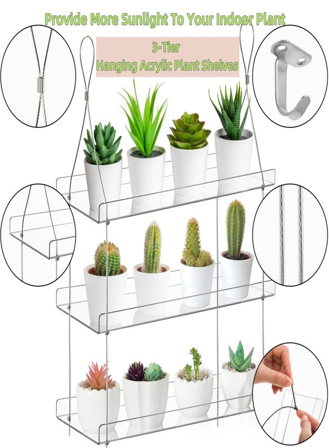 Tlence 3-Tier Hanging Clear Plant Shelves, Acrylic Window Boxes Flower Display Shelf, Height Adjustable Indoor Wall Plant Stand, Succulents Pot Organizer Storage for Herbs Microgreens Seedling Growth - Image 5