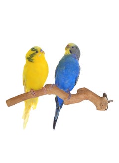 CHEWY BEAK Birds Stand Indonesian Java wood Parrot Perch for extra small Birds finch canary budgies  Wooden Tree branch Cage Accessories  - Image 1