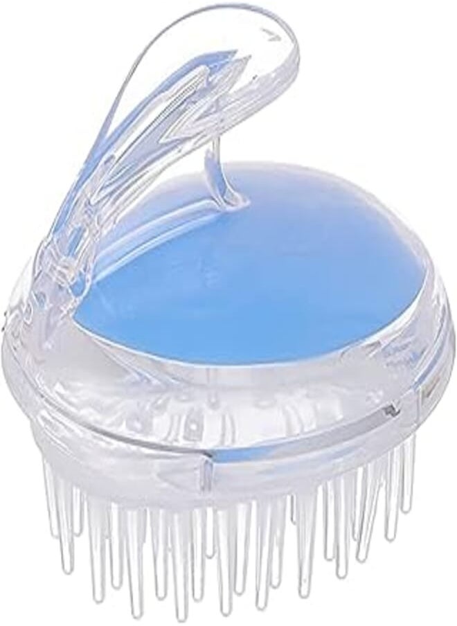 Ever Beauty Ever Beauty Plastic Detangling Hair Brush - Clear and Blue , 2725609414390 
