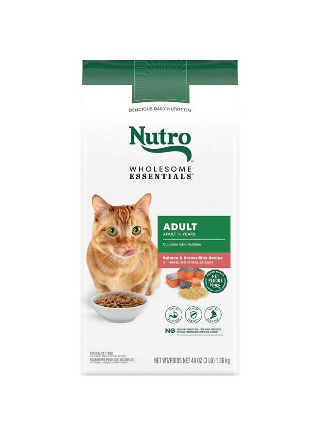 Nutro Wholesome Essentials Adult Dry Cat Food, Salmon & Brown Rice Recipe, 3 lbs. - Image 1