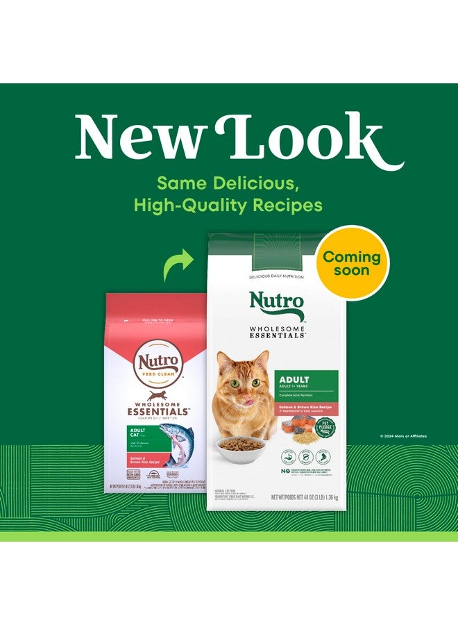Nutro Wholesome Essentials Adult Dry Cat Food, Salmon & Brown Rice Recipe, 3 lbs. - Image 2