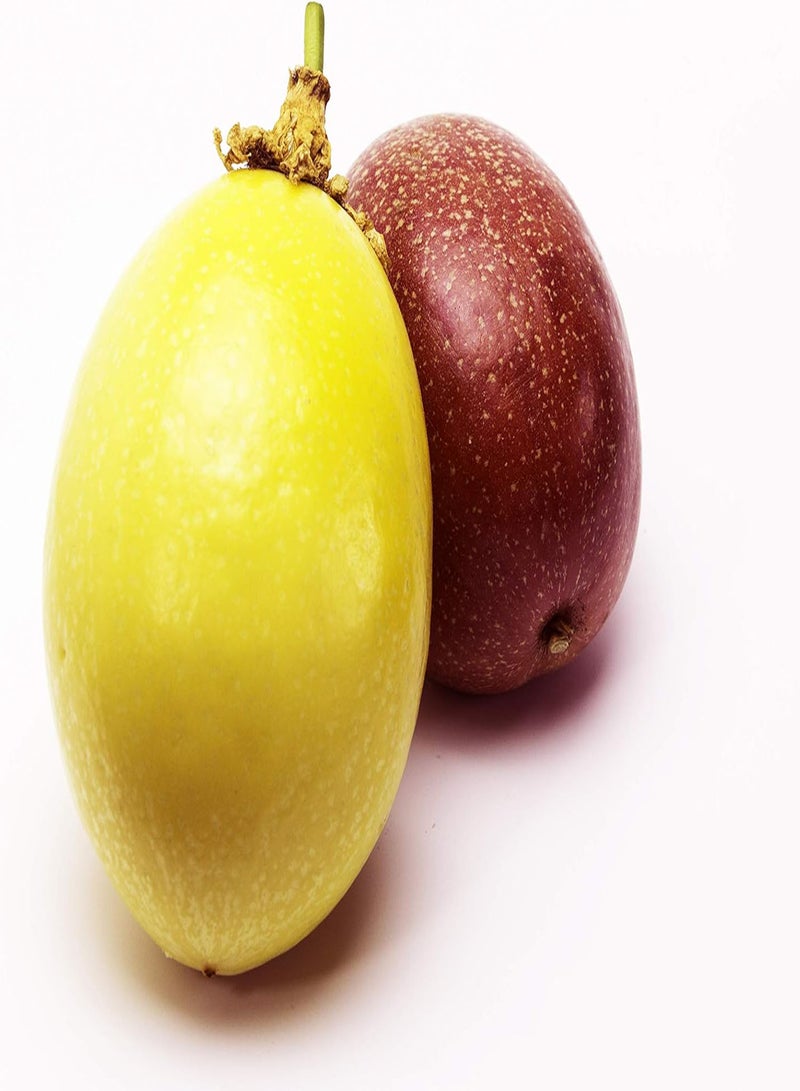 GGOOT Passion Fruit - Passiflora edulis Fruit Seeds, Home Garden Planting by Heavy Torch, 10 Grams