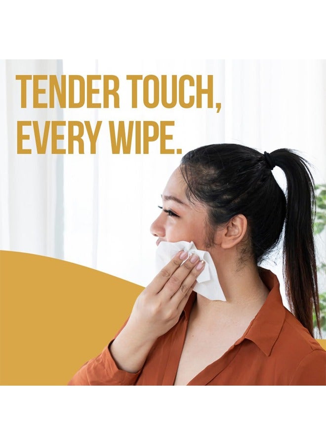 NICE Touch مناديل وجه 1 طبقة 2500 ورقة، 5 عبوات من 500 ورقة - تحتوي على 2500 مناديل فاخرة، ناعمة وامتصاصها جيد تناسب جميع أنواع البشرة - Image 5