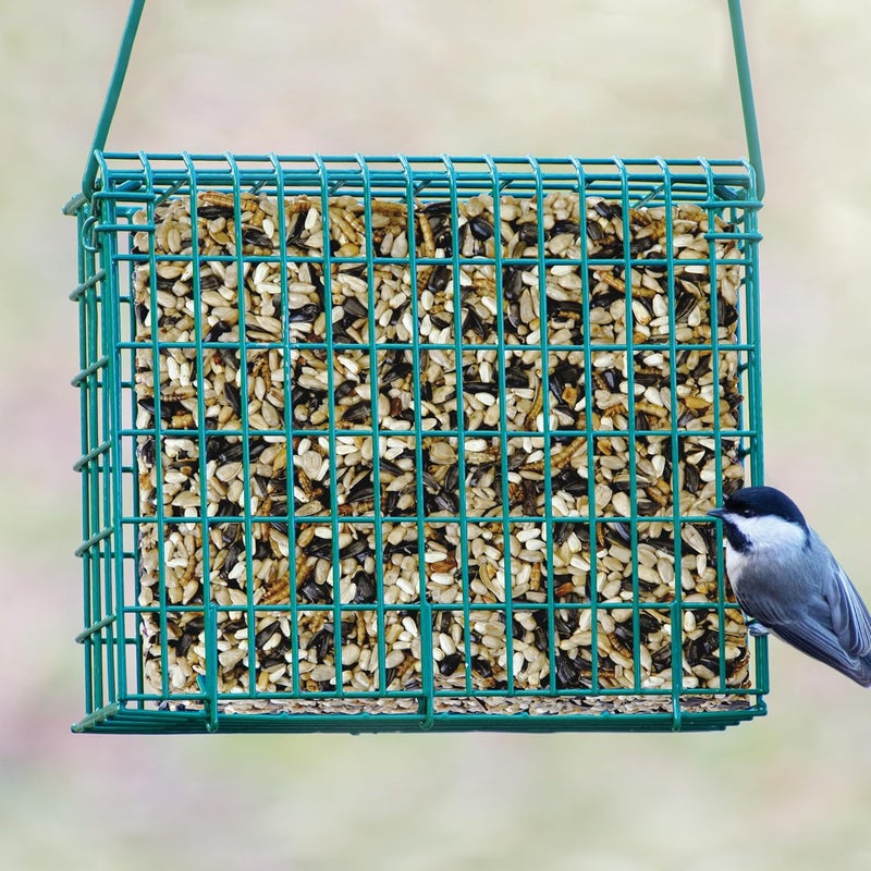 Kaytee Wild Bird Seed & Mealworm Seed Cake Food For Bluebirds, Chickadees, Woodpeckers and More, 1.4 Pound - Image 3