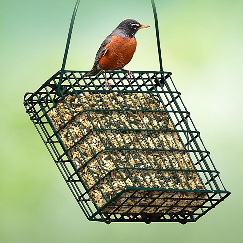 Kaytee Wild Bird Seed & Mealworm Seed Cake Food For Bluebirds, Chickadees, Woodpeckers and More, 1.4 Pound - Image 4