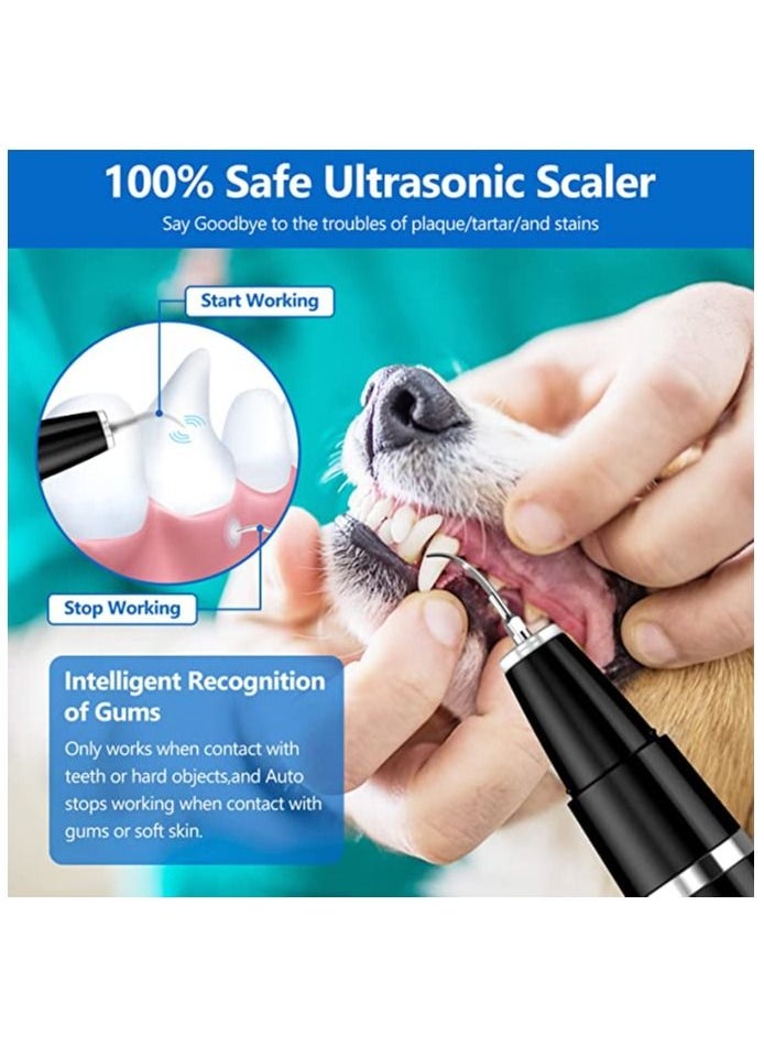 Generic - Ultrasonic Tooth Scaler for Dogs with 5 Modes & LED Lamp, Dog Toothbrush to Remove Stains Calculus, Dog Tooth Brushing kit for Plaque and Tartar Remover, IPX8 Waterproof Dog Teeth Cleaning kit - Image 1