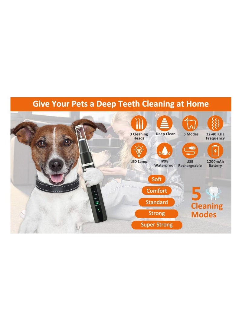 Generic - Ultrasonic Tooth Scaler for Dogs with 5 Modes & LED Lamp, Dog Toothbrush to Remove Stains Calculus, Dog Tooth Brushing kit for Plaque and Tartar Remover, IPX8 Waterproof Dog Teeth Cleaning kit - Image 1