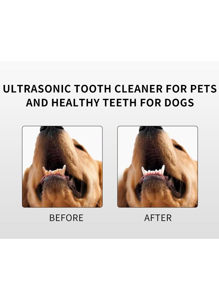 Generic - Ultrasonic Tooth Scaler for Dogs with 5 Modes & LED Lamp, Dog Toothbrush to Remove Stains Calculus, Dog Tooth Brushing kit for Plaque and Tartar Remover, IPX8 Waterproof Dog Teeth Cleaning kit - Image 1
