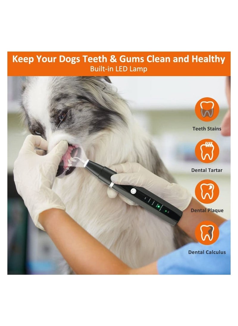 Generic - Ultrasonic Tooth Scaler for Dogs with 5 Modes & LED Lamp, Dog Toothbrush to Remove Stains Calculus, Dog Tooth Brushing kit for Plaque and Tartar Remover, IPX8 Waterproof Dog Teeth Cleaning kit - Image 1