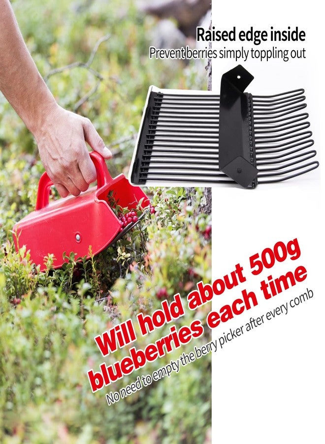 DkOvn قطّافة توت، ومجارف توت مزودة بمشط معدني ومقبض مريح لسهولة قطف التوت، ومجرفة مجرفة للتوت الأزرق، والتوت البري - Image 4